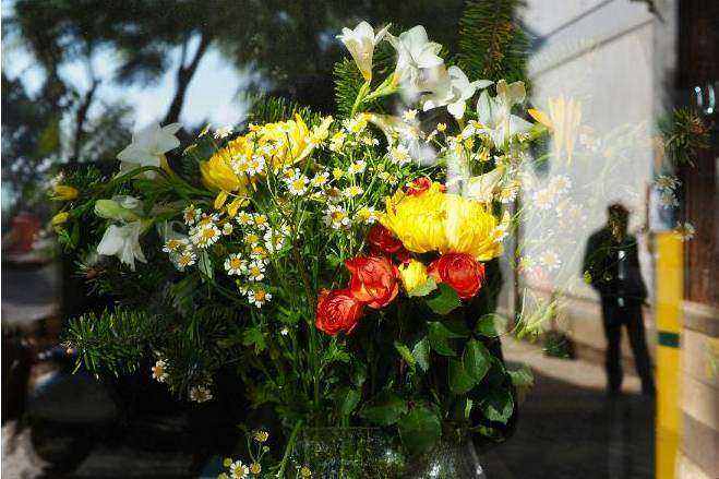 Flowers arranged on a bench
