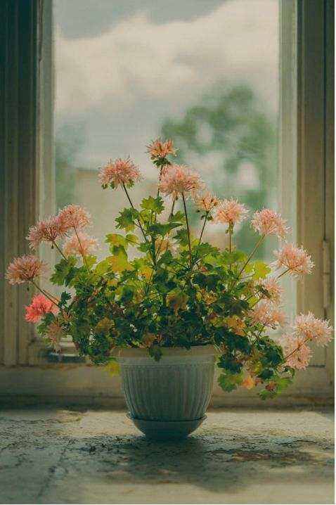 Arrangement 1