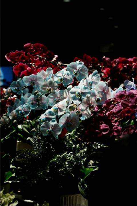 Table arrangement